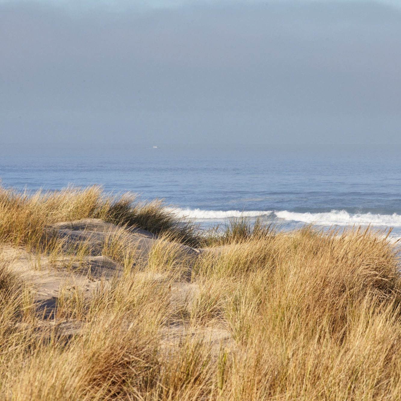 omgeving Callantsoog